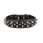 Sparrow Daughter Genuine Leather Spiked Studded Dog Collar | Adjustable and Stylish Neck Belt for All Breeds - Dark Brown (18 x 1.5 Inch)