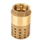 Brass One Way Female Thread Foot Valve Mesh Check Valve Female Hose Thread with Holes Strainer Filter DN25