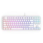 CIY Mechanical Gaming Keyboard+Magnetically Detachable Upper Cover+RGB LED Rainbow+TENKEYLESS (87 Key)+Hot Swap Switches (TKL US Blue Switch, Gray)