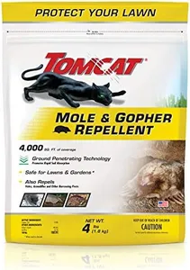 Tomcat Mol