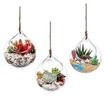 Ivolador Hanging Plants Glass Terra