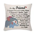 alphadecor Friend Gifts Pillows