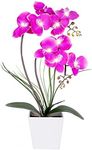 HOMESEASONS Orchid Lamp-LED Lighted Orchid Arrangements,Pre Lit Artificial Orchid,Light Up Flower Lights, Faux Orchid Phalaenopsis Arrangement (Purple)