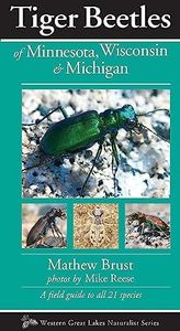 Tiger Beetles of Minnesota, Wisconsin & Michigan