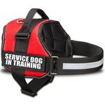 Service Dog in Training Vest with Hook and Loop Straps and Handle - Harnesses in Sizes from XXS to XXL - Service Dog Vest Harness Features Reflective Patch and Comfortable Mesh Design