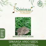 Srinivasa Agro Seeds Makkan Grass Seeds | Multi Cutting Grass Seeds | Rhodes Grass (1 Kg)