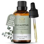 AVD Organics Eucalyptus Essential Oil 30ml- 100% Pure and Natural - Premium Therapeutic Grade Essential Oil for Aromatherapy Bath, Steamroom, Hair - 1 fl. Oz