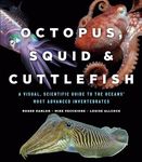 Octopus, Squid, and Cuttlefish: A Visual, Scientific Guide to the Oceans’ Most Advanced Invertebrates