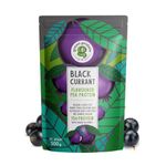 GREEN PROTEIN Pea Protein Isolate Powder, Vegan Plant Protein, No Added Sugar, 100% Vegan, Soy, Dairy, Gluten & Allergen Free, Black Currant Flavor, 15g Protein Per Serving, Pouch (500g)