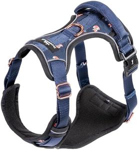 FREUDENTIER Hundegeschirr mit komfortabler Mesh-Polsterung - Perfekter Sitz ohne Verrutschen - Anti-Zug Brustgeschirr - Let's get Foxy Kollektion (XS)