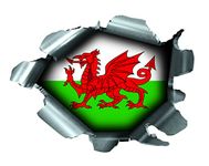 Speed Demons Pride Burst RIP Torn Tear Sticker Graphic SELF Adhesive for Any Surface Including LAPTOPS and Cars - Wales Welsh Flag Football Rugby