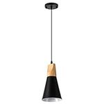 Modern Metal Pendant Lighting Indus