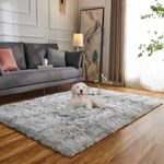 Evitany Rugs Living Room, Fluffy Area Rugs, Non Shedding Anti Slip Carpet, Washable Shaggy Rugs for Bedroom,High Pile Area Rugs for Dining Room,Office,Lounge (Light Grey,80x120 cm)