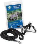 PetSafe Come with Me Kitty Harness and Bungee Leash, Harness for Cats, Small, Black/Silver