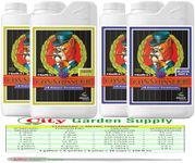 Advanced Nutrients pH Perfect Connoisseur Grow and Bloom A&B Plants Fertilizer Bundle, Soil and Hydroponics Plants to Develop Sturdier Stalks and a Hardier Harvest. (1 Liter)
