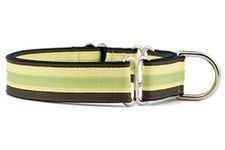 If It Barks 1" Martingale Collar for Dogs, Adjustable Nylon, USA Made, Small, Key Lime Pie