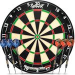 IgnatGames Dart Board Professional 