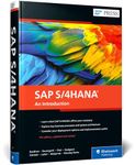 SAP S/4hana: An Introduction