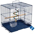 Rixy Metal Bird Cage - 15 inch (1.25 feet) (Colour May Vary) | Habitat Cage with Free Hanging Toy (1) + Perches (1) + Food & Water Feeder Cups (2) for Budgies, Lovebirds, Finches, Canaries & Cockatiel