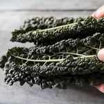 Black Tuscany Cavolo Nero Borecole Kale Vegetable Seeds - Approx. 1050 Organic Seeds