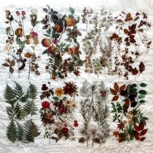 Maxleaf 88PCS Clear Fresh Plants Flowers Leaves Waterproof Stickers for Art Journaling Planners Scrapbook Laptops DIY Album Decoration, 8Series Vintage Stickers for Journaling (Plants Collection)