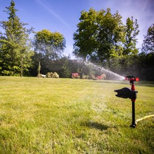 PestBye Jet Spray Cat Repellent – Motion Activated Animal Deterrent