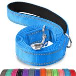 Joytale Double-Sided Reflective Dog Leash, 6 FT/5FT/4 FT, Padded Handle Nylon Dogs Leashes for Walking, Training Lead for Medium & Large Dogs, Sky Blue, 5FT