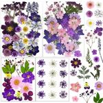 92 Pcs Purple Dried Pressed Flowers Real Natural Leave Petals for DIY Resin Candle Jewelry Nail Crafts