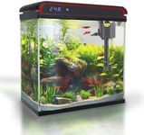 Glass 20 Gallon Fish Tank Aquarium 