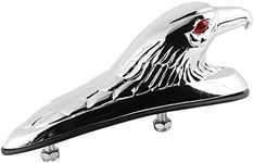 Mudguard Decor,Universal Motorcycle