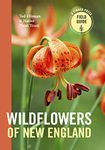 Wildflowers of New England (Timber Press Field Guide)