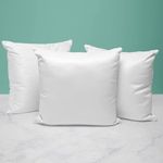 NH10 DESIGNS Microfiber Filled Cushion/Pillow Fillers Bedroom, Sofa, Living Room | Comfortable, Breathable | Pack of 2 (White) (16 x 16 Inches), Color-White