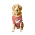 Ruse Basic Crew Neck Birthday Girl Printed Half Sleeves/Apparel/Clothes/T-Shirt Gift for Dogs.Colour-Salmon/XXL (Full Grown Saint Bernard, Great Dane etc.)