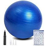 flintronic Exercise Ball, Anti-brust Yoga Ball Fitness Ball, 55 to 65cm Extra Thick Swiss Ball with Hand Pump for Yoga, Pilates, Fitness