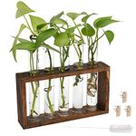 BUYGOO Plant Propagation Station Terrarium with Test Tube Desktop Hydroponics Rack, 5 Planter Glass Vase with Wooden Holder for Home Indoor Decoration