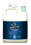 Seal King Efflorescence Cleaner for Pavers & Concrete, 2L/64oz, 800 sq.ft Coverage