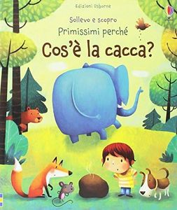 Cos'è la c