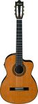 Ibanez 6 String Classical Guitar, R