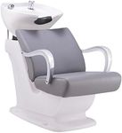 Salon Shampoo Backwash Station Hair