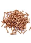 "BRASK" STEEL SELF TAPPING SCREWS CSK PHILIP HEAD 19 MM X 4 MM (3/4 INCH) ROSE GOLD COLOUR (PACK OF 500 PCS)