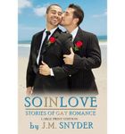 [ SO IN LOVE [LARGE PRINT EDITION]: STORIES OF GAY ROMANCE - LARGE PRINT ] BY Snyder, J M ( AUTHOR )Oct-05-2009 ( Paperback )
