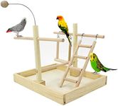 Bird Playground, Bird Play Stand, B