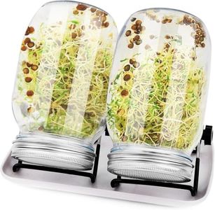2Pcs Sprouting Jar Kit – Wide Mouth Mason Jars with Stainless Steel Lids, Stand & Tray | Organic Seed Sprouter for Broccoli, Alfalfa, Mung Beans | Healthy Home Growing Kit for Vegans & Gardeners