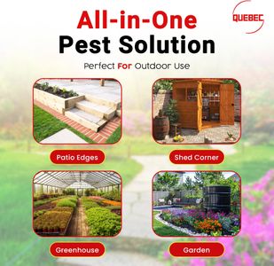 Quebec Ant Killer Powder 500g – Crawling Insect Dust for Indoor & Outdoor
