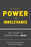 Between Power and Irrelevance The Future of Transnational NGOs