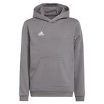 adidas Unisex Kids Entrada 22 Sweat Hoodie, Team Grey Four, 15-16 Years