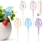 EBANKU 5 Pcs Flower Shape Plant Self Watering Globes, Plant Watering Device Plant Water Glass Bulbs, Colourful Automatic Plant Waterer System Drip Feeders Ideal Watering Bulbs for Planters