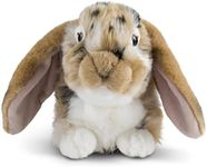 Living Nature Brown Dutch Lop Eared