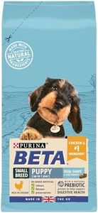 BETA Puppy