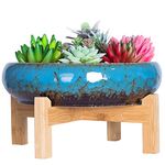 Succulent Pot - 10 Inch Large Plant Pots with Drainage Shallow Bonsai Pot with Stand, Ceramic Flower Pot for Indoor Cactus Succulent Planter Bowl Decorative Garden Home Office